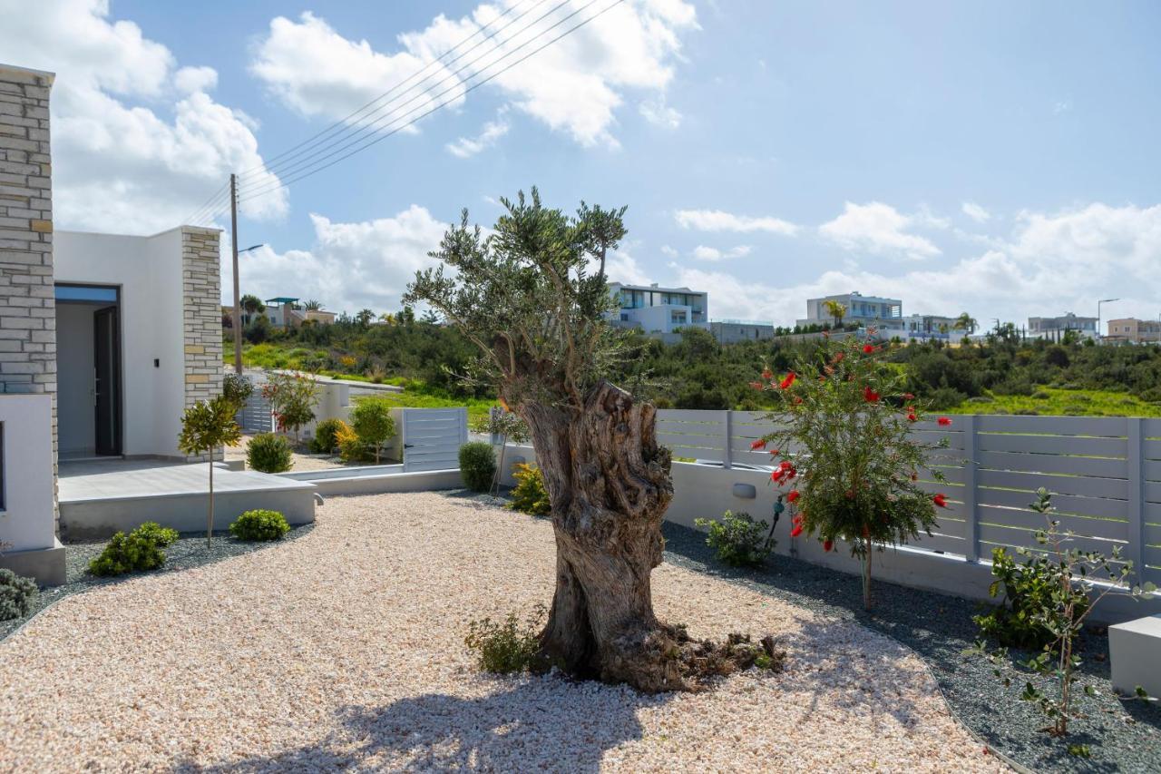 Villa Adaris, Sea Caves Peyia Пафос Екстериор снимка